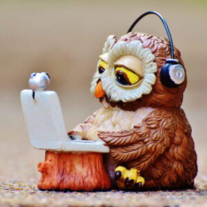 cropped owl computer headphones funny preview